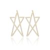 Women Vintage Havana Earrings | Clara Earrings