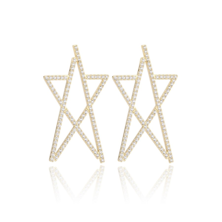 Women Vintage Havana Earrings | Clara Earrings