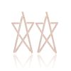 Women Vintage Havana Earrings | Clara 4 Earrings