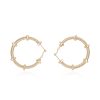 Women Vintage Havana Earrings | Roxane Earrings