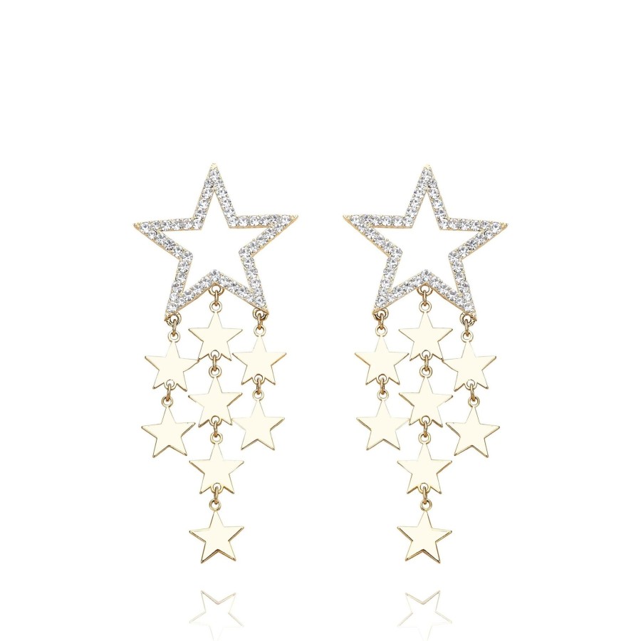 Women Vintage Havana Earrings | Fiona Earring